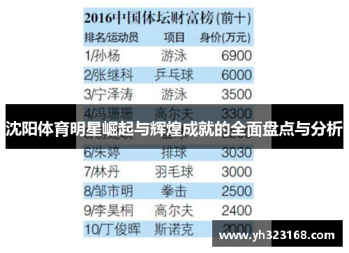 沈阳体育明星崛起与辉煌成就的全面盘点与分析