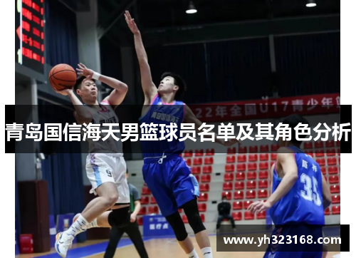 青岛国信海天男篮球员名单及其角色分析