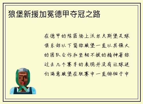 狼堡新援加冕德甲夺冠之路